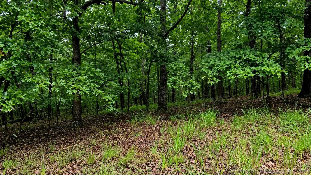 433 Deer Path Road Kansas, OK 74347
