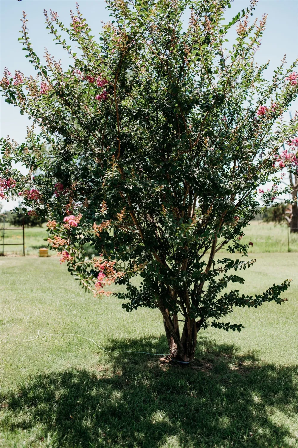 408 County Road 2200 Ivanhoe, TX 75447