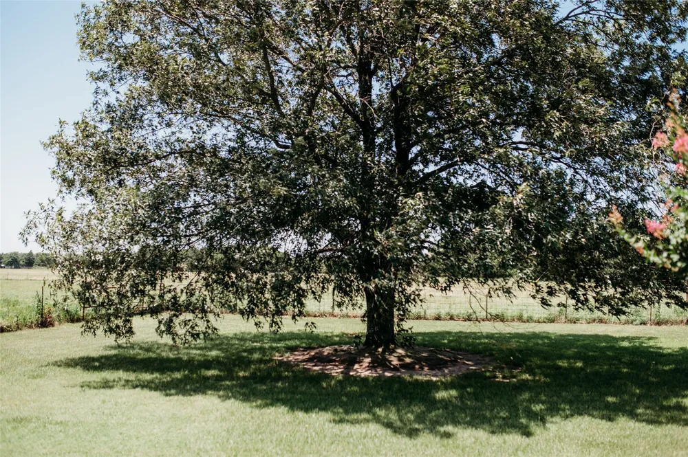 408 County Road 2200 Ivanhoe, TX 75447