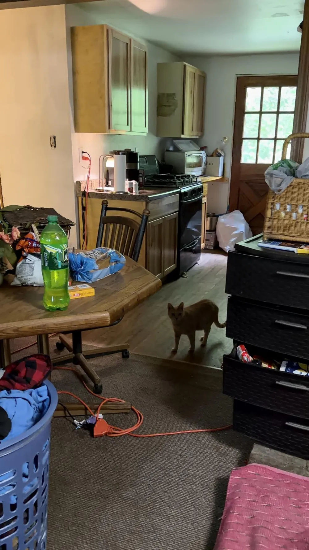 4882 W Bluewater Highway Easton Township, MI 48881