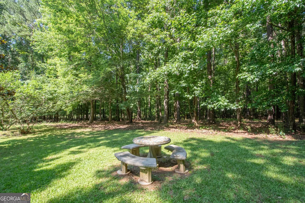 115 Hazelridge LN Sharpsburg, GA 30277