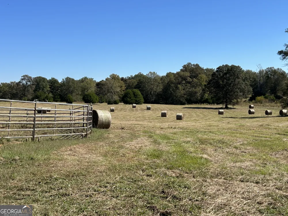 11190 Treadwell RD Forsyth, GA 31029