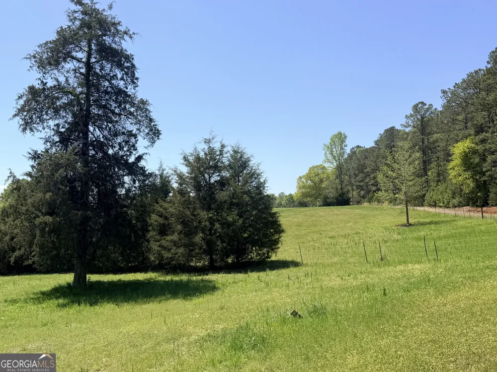 11190 Treadwell RD Forsyth, GA 31029
