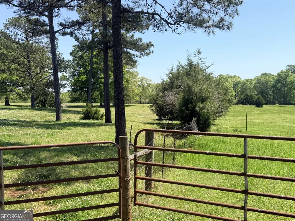 11190 Treadwell RD Forsyth, GA 31029
