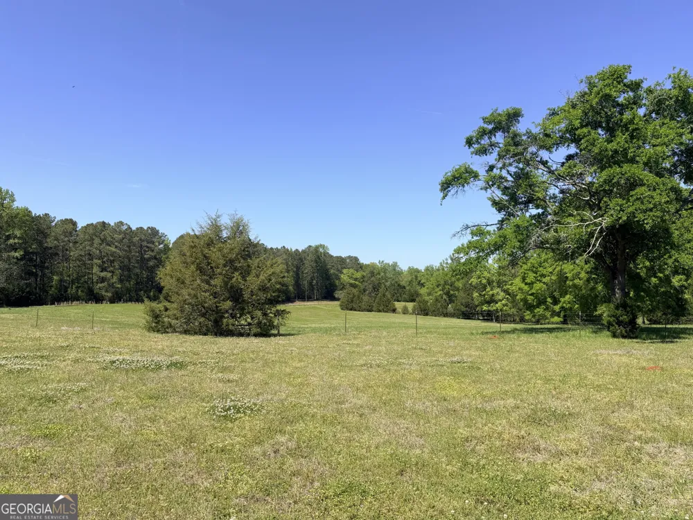 11190 Treadwell RD Forsyth, GA 31029