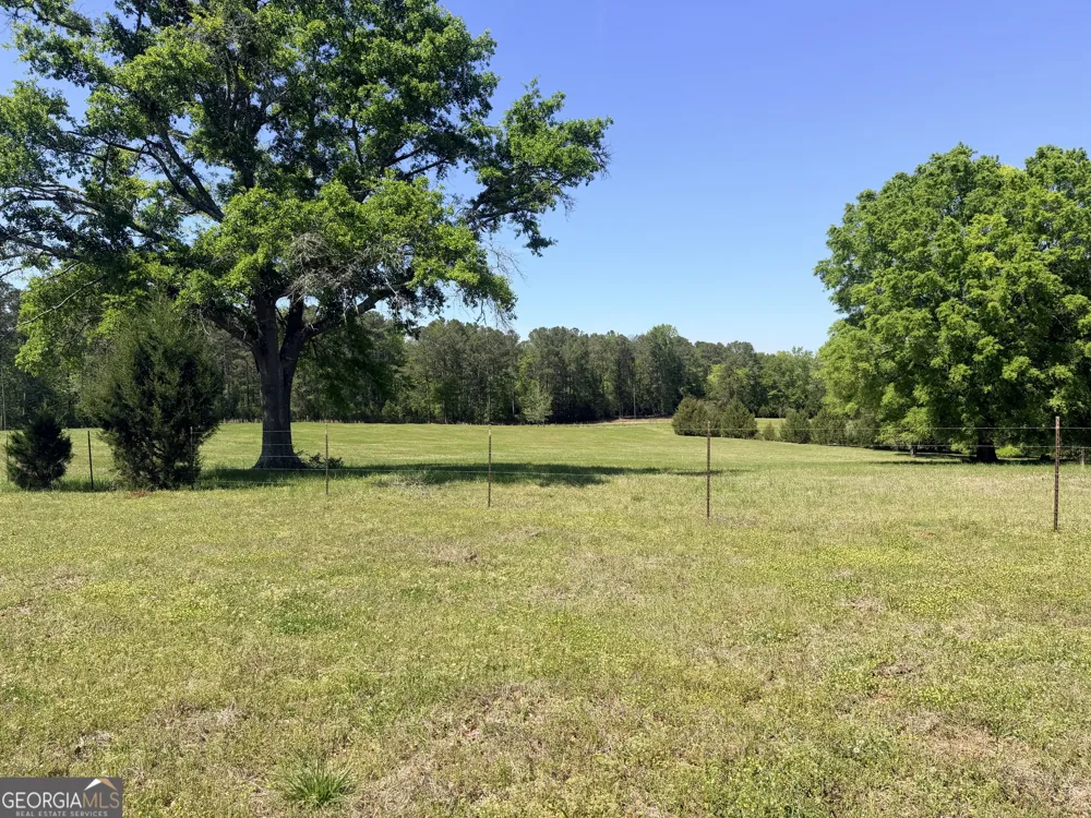 11190 Treadwell RD Forsyth, GA 31029