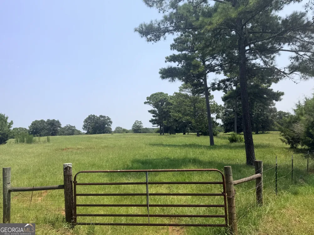 11190 Treadwell RD Forsyth, GA 31029