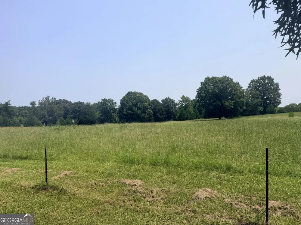 11190 Treadwell RD Forsyth, GA 31029