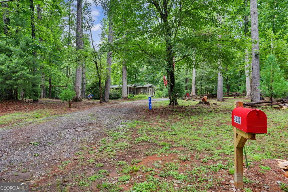 5637 Murray Cove RD Tiger, GA 30576