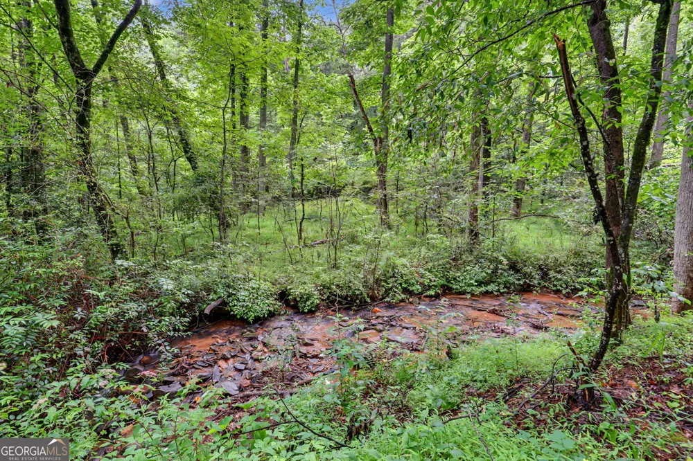 5637 Murray Cove RD Tiger, GA 30576