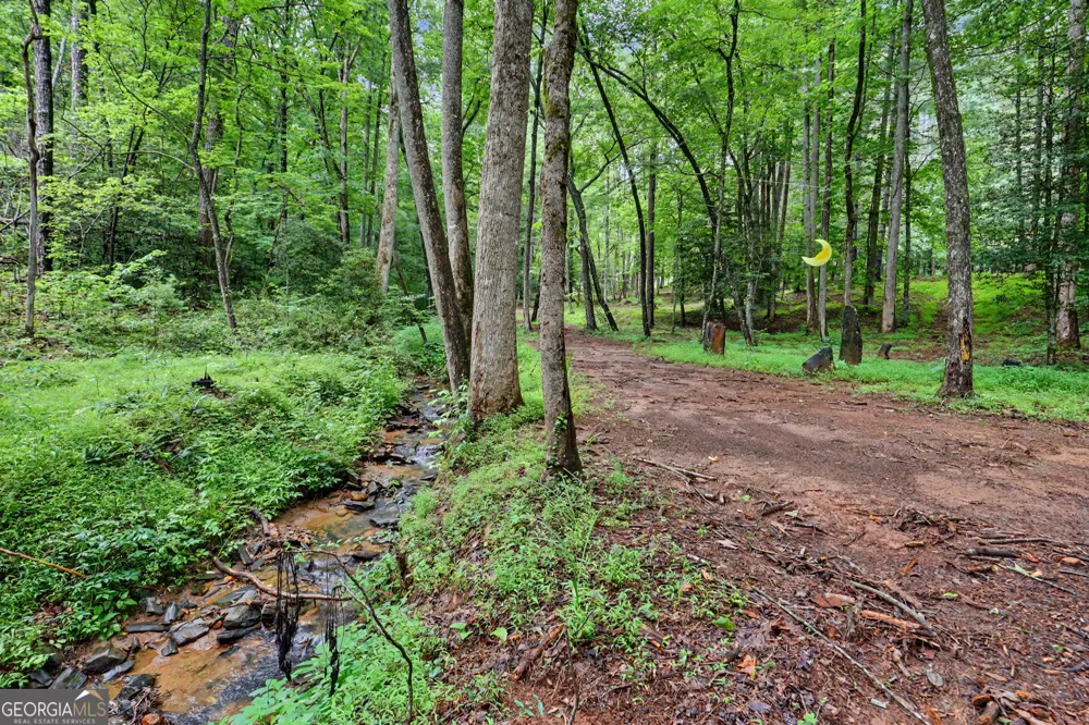 5637 Murray Cove RD Tiger, GA 30576
