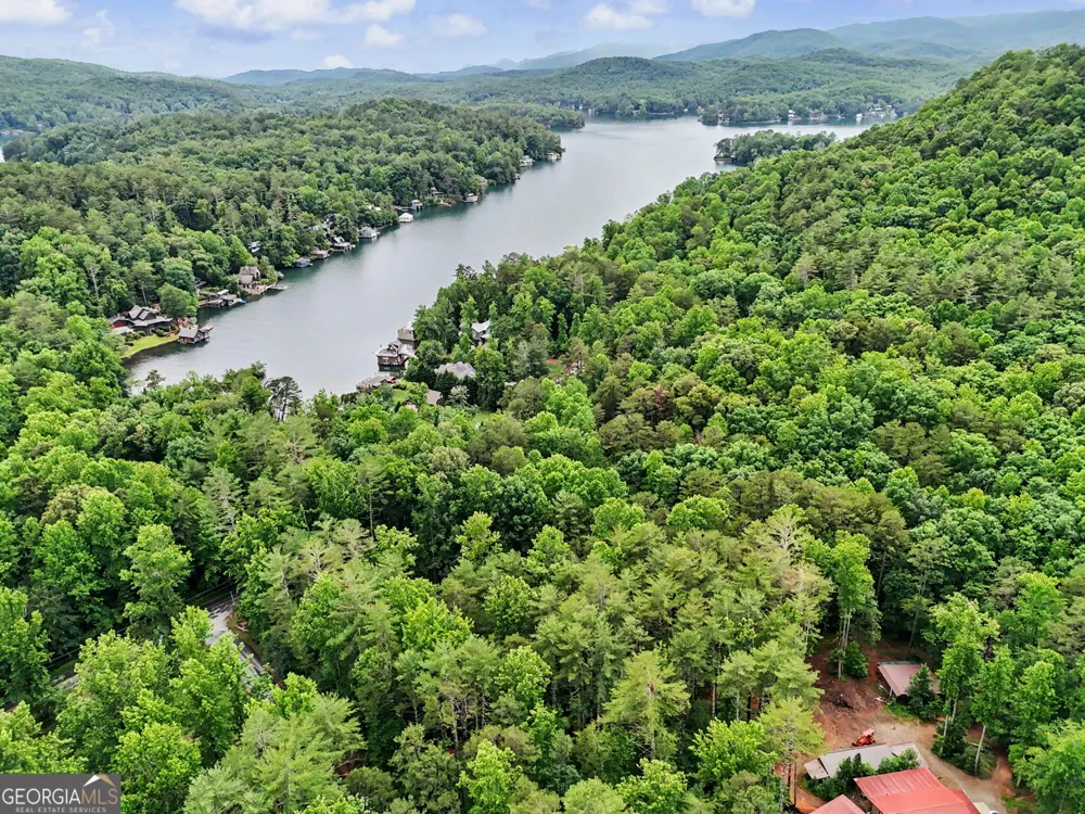 5637 Murray Cove RD Tiger, GA 30576