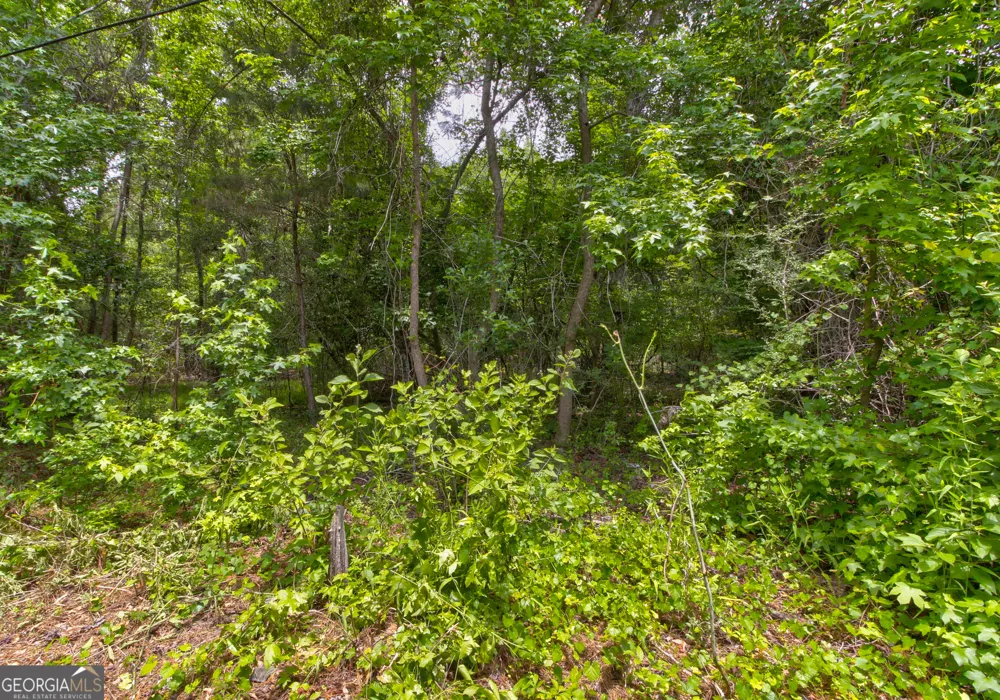 247 Cedar LN Guyton, GA 31312