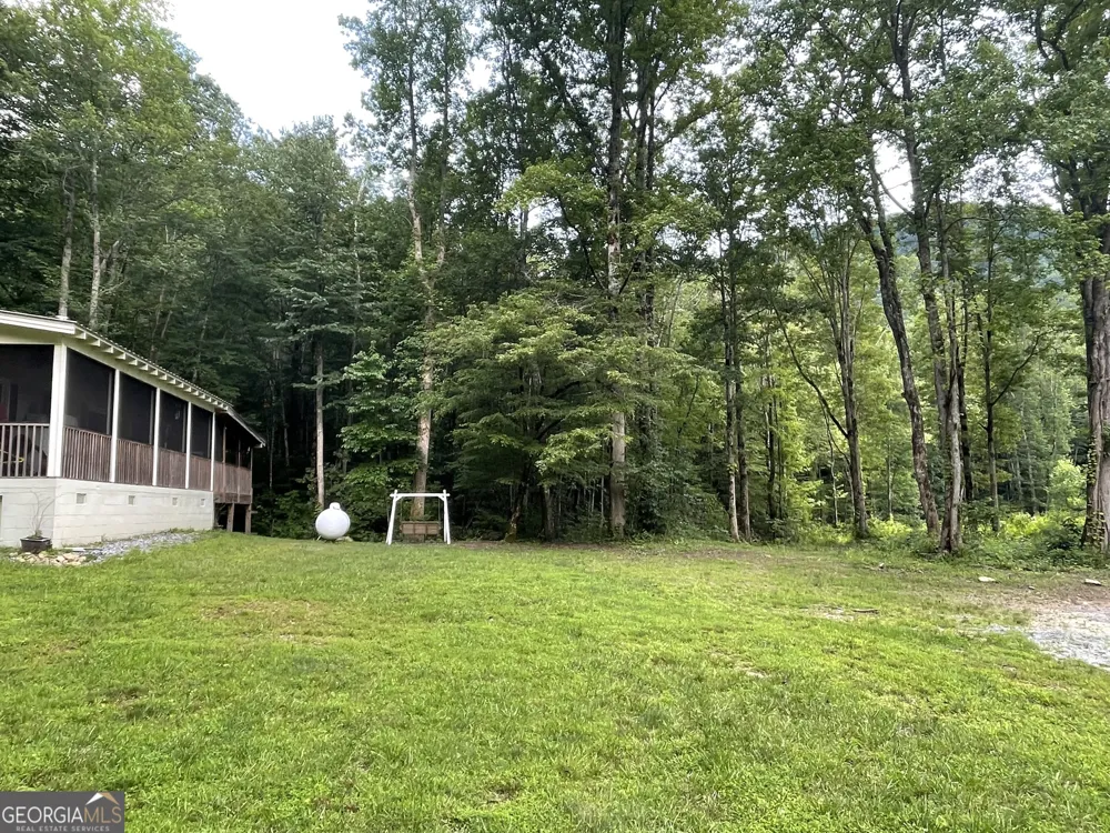 1449 Muskrat Creek RD Hayesville, NC 28904