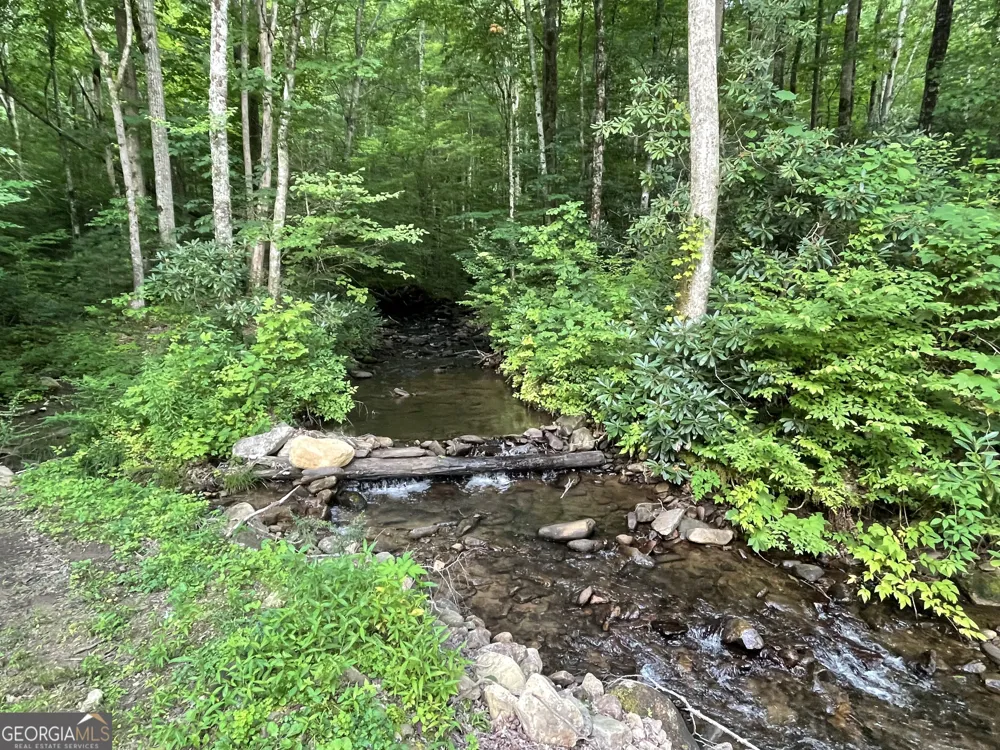 1449 Muskrat Creek RD Hayesville, NC 28904