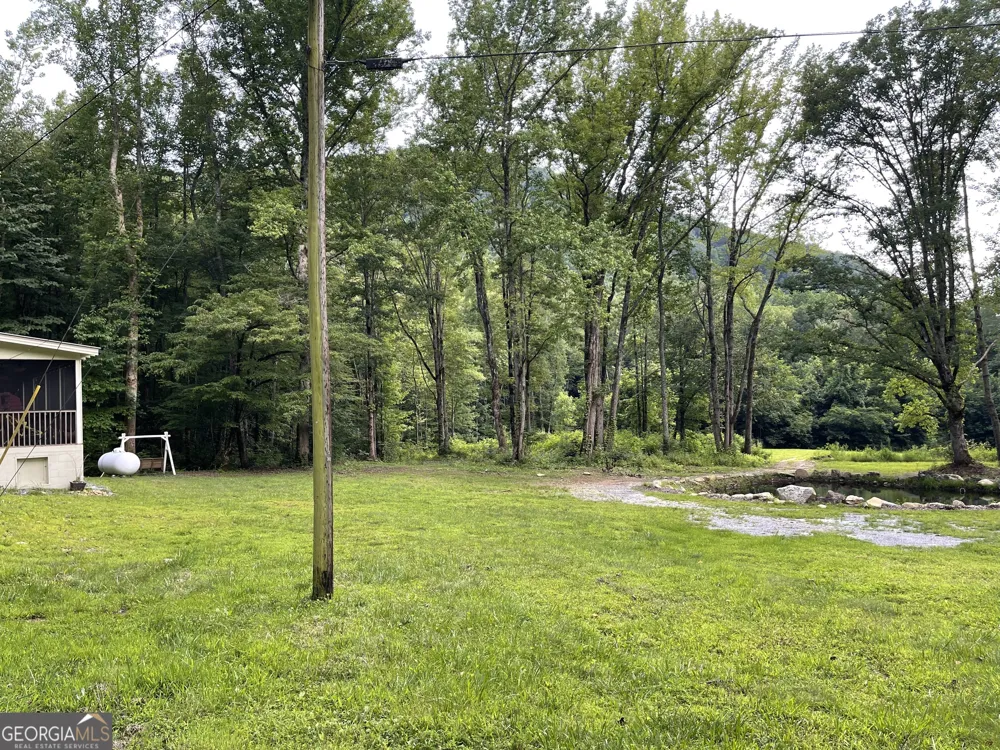 1449 Muskrat Creek RD Hayesville, NC 28904