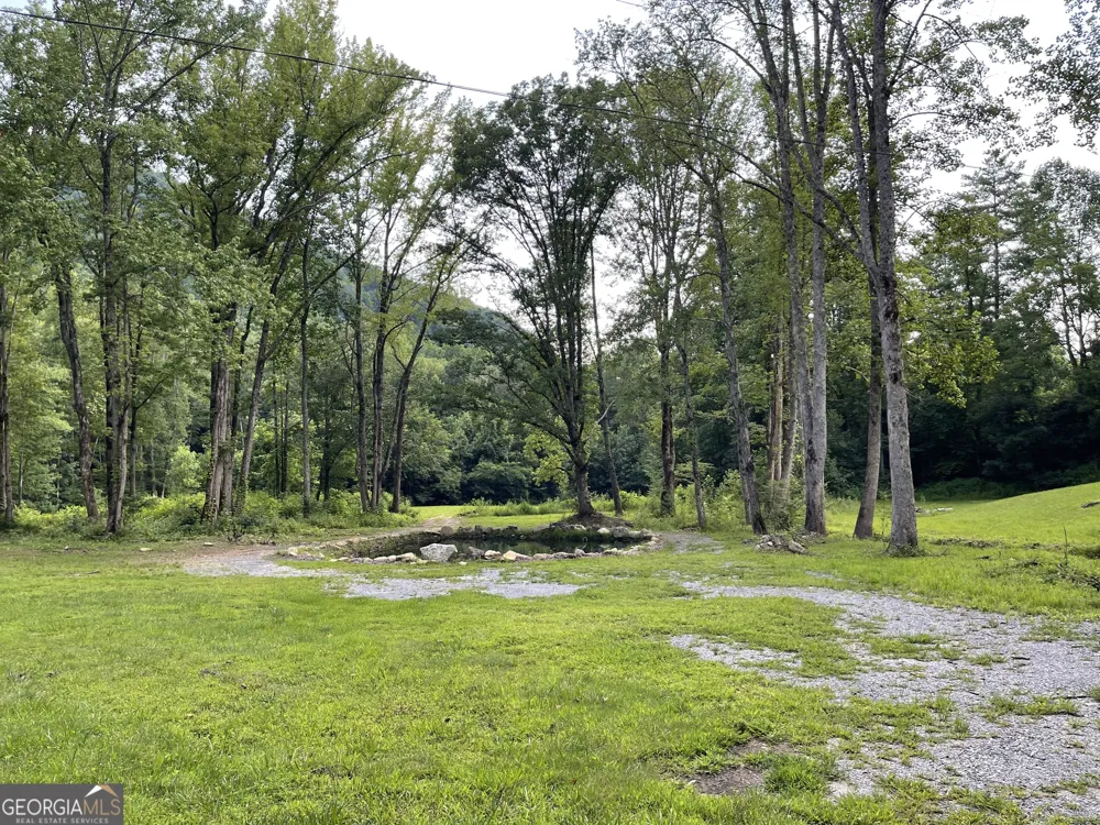 1449 Muskrat Creek RD Hayesville, NC 28904