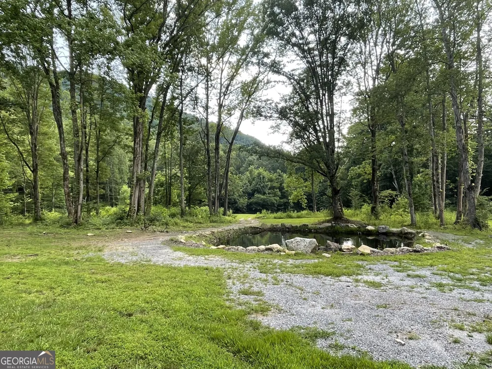 1449 Muskrat Creek RD Hayesville, NC 28904
