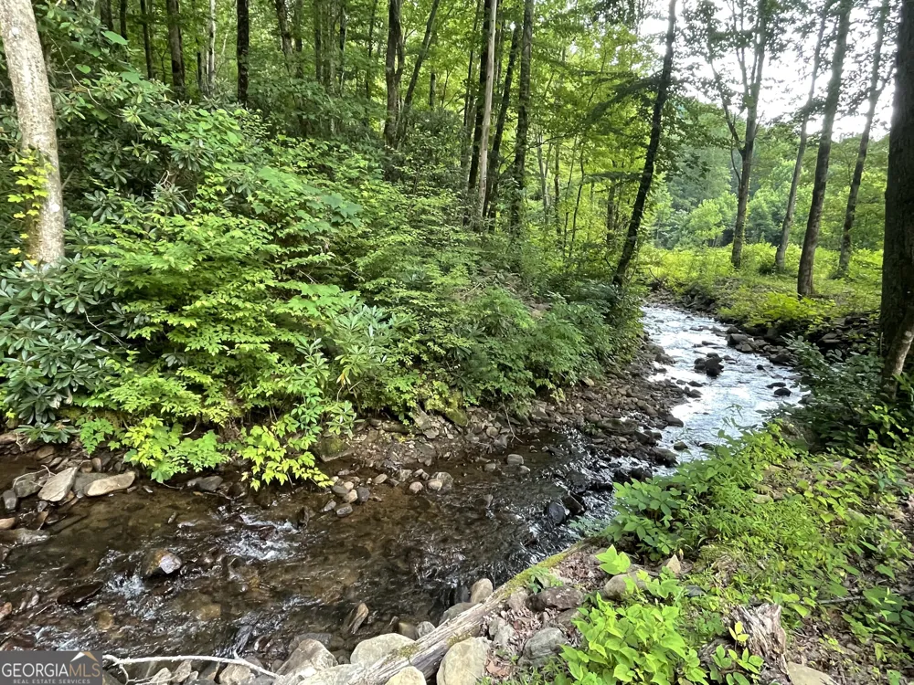 1449 Muskrat Creek RD Hayesville, NC 28904
