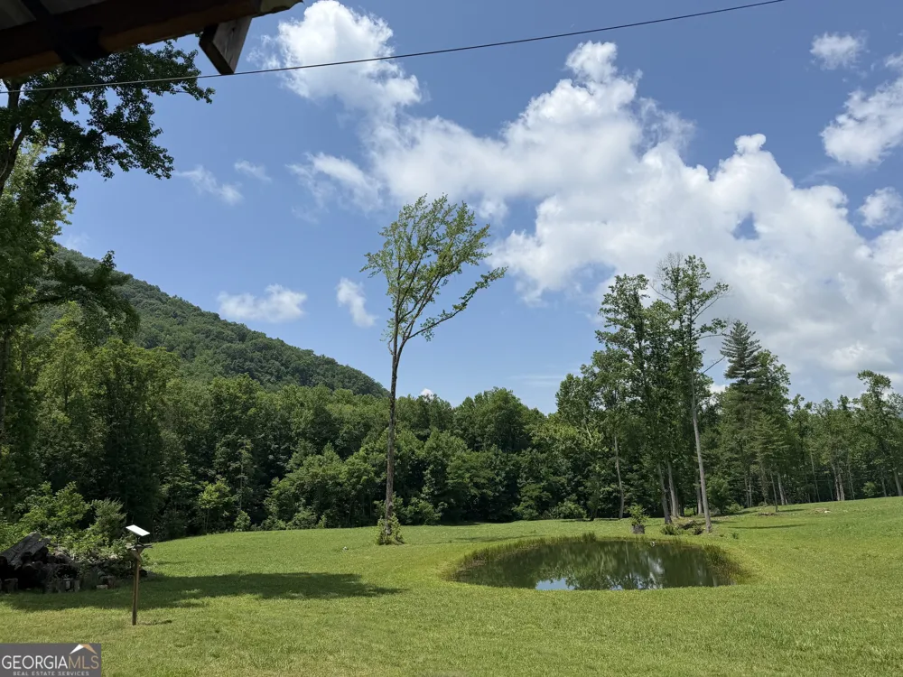 1449 Muskrat Creek RD Hayesville, NC 28904