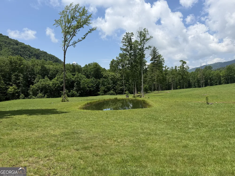 1449 Muskrat Creek RD Hayesville, NC 28904