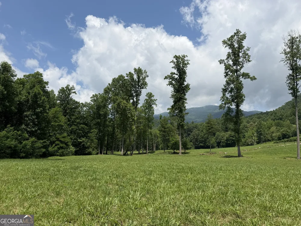 1449 Muskrat Creek RD Hayesville, NC 28904