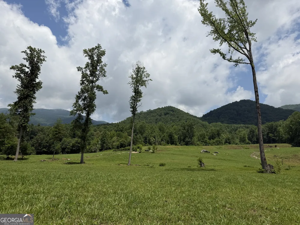 1449 Muskrat Creek RD Hayesville, NC 28904