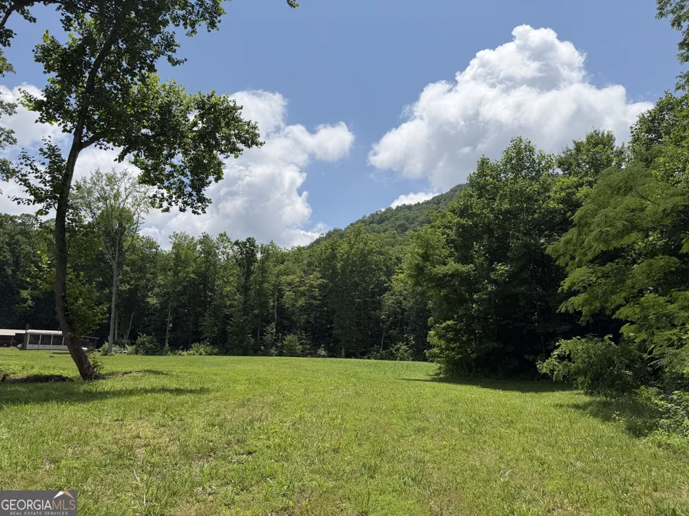 1449 Muskrat Creek RD Hayesville, NC 28904