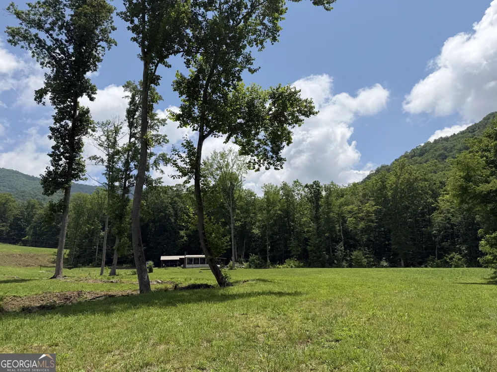 1449 Muskrat Creek RD Hayesville, NC 28904