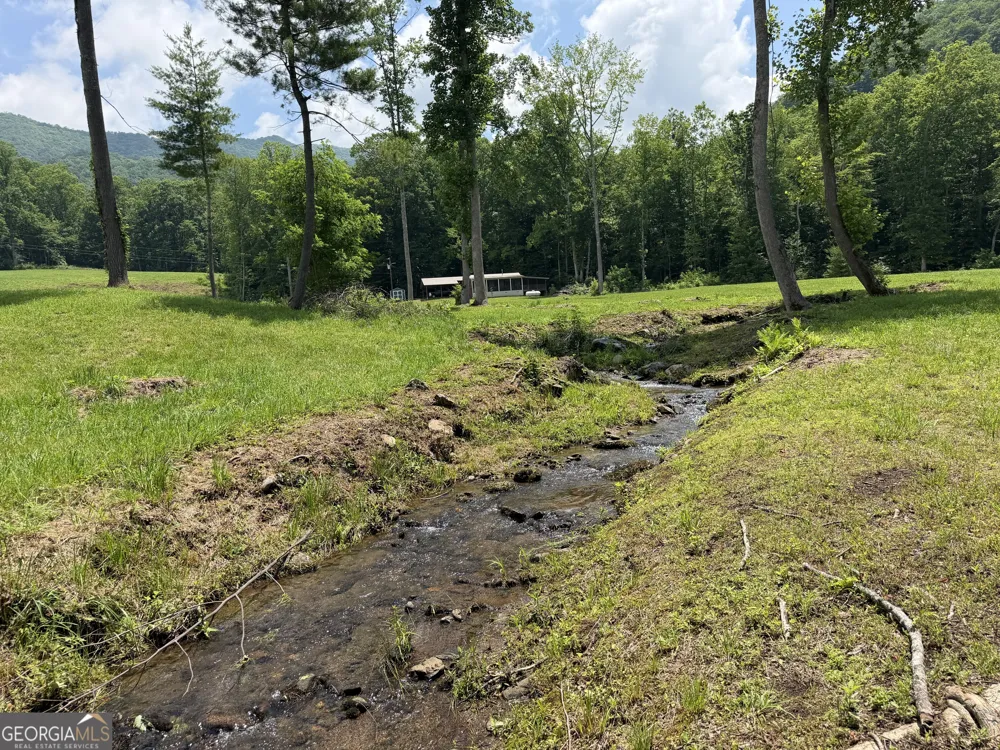 1449 Muskrat Creek RD Hayesville, NC 28904