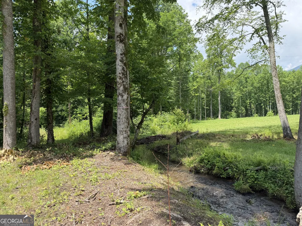 1449 Muskrat Creek RD Hayesville, NC 28904