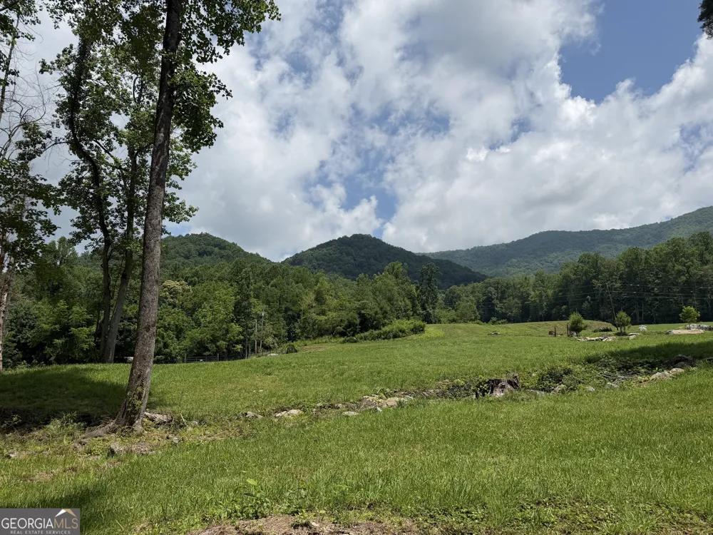 1449 Muskrat Creek RD Hayesville, NC 28904