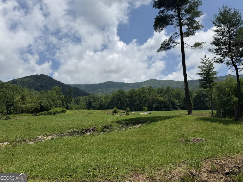 1449 Muskrat Creek RD Hayesville, NC 28904