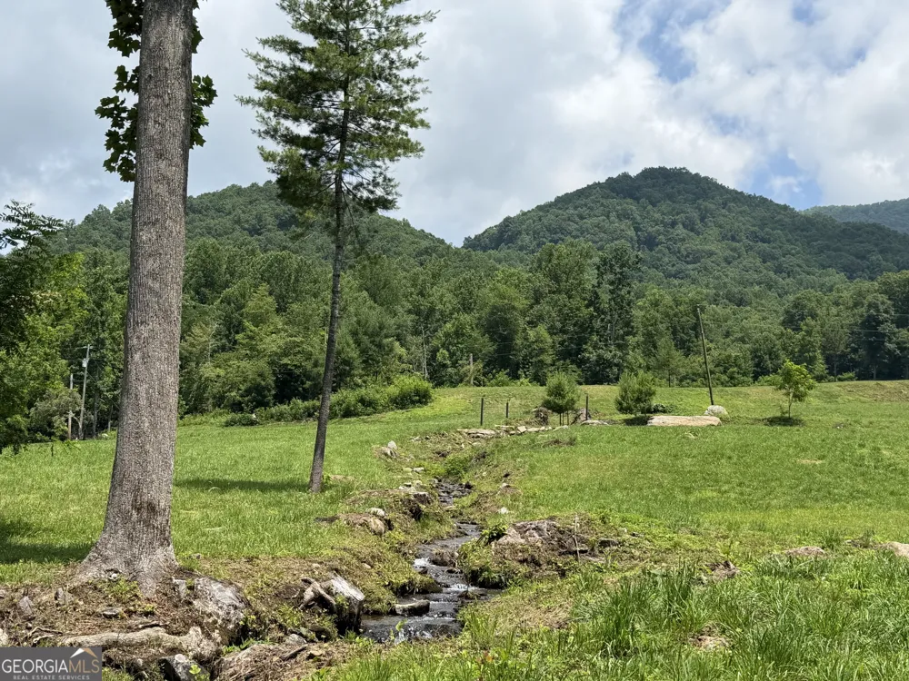 1449 Muskrat Creek RD Hayesville, NC 28904
