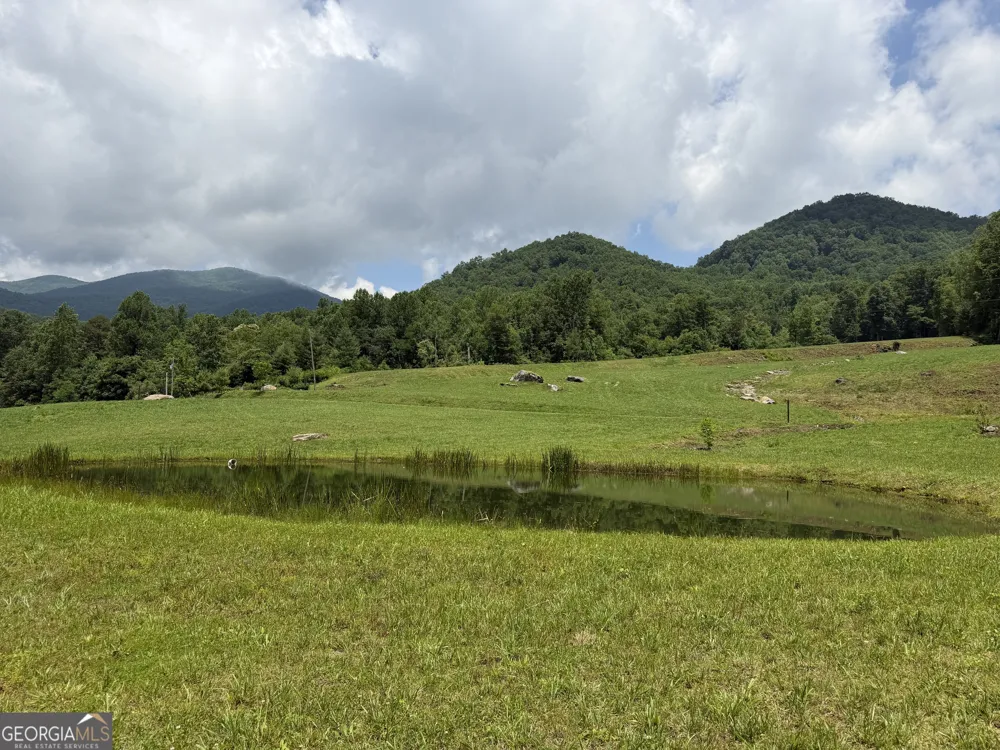 1449 Muskrat Creek RD Hayesville, NC 28904