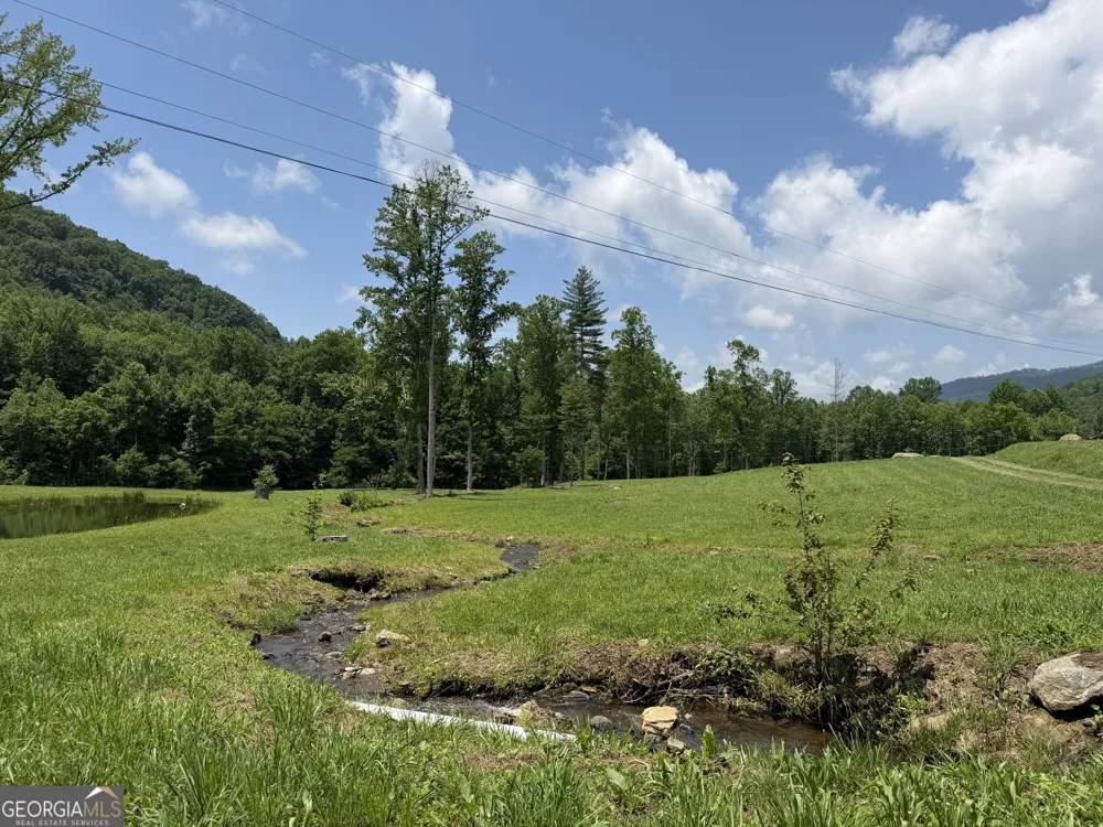 1449 Muskrat Creek RD Hayesville, NC 28904