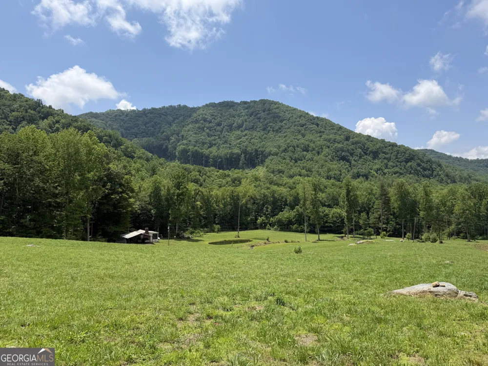1449 Muskrat Creek RD Hayesville, NC 28904