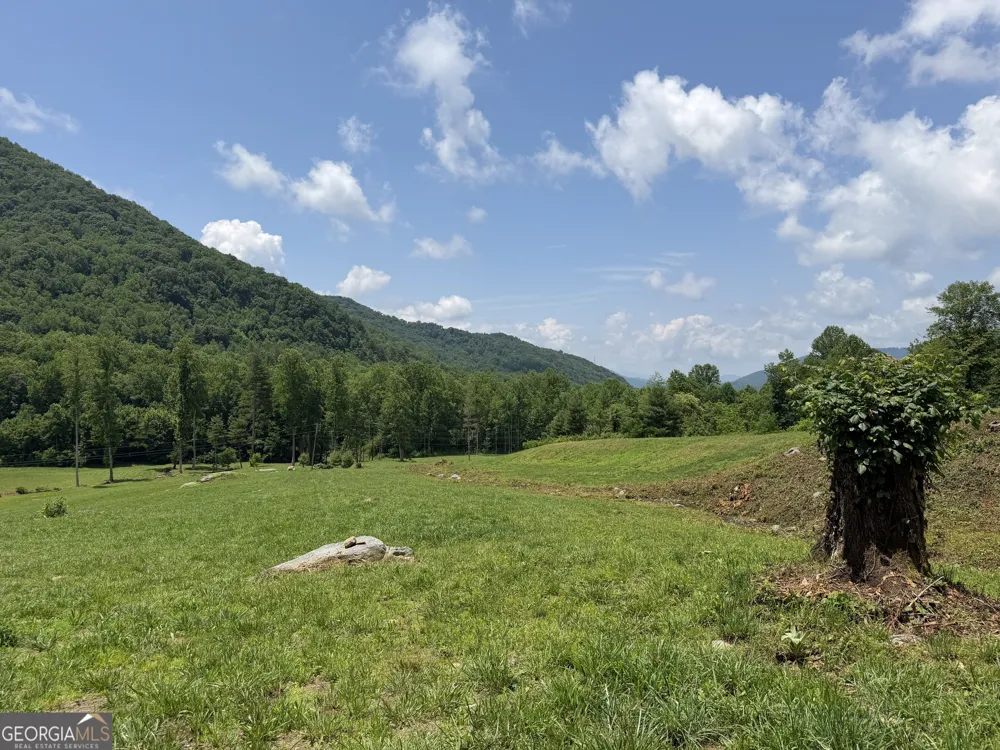 1449 Muskrat Creek RD Hayesville, NC 28904