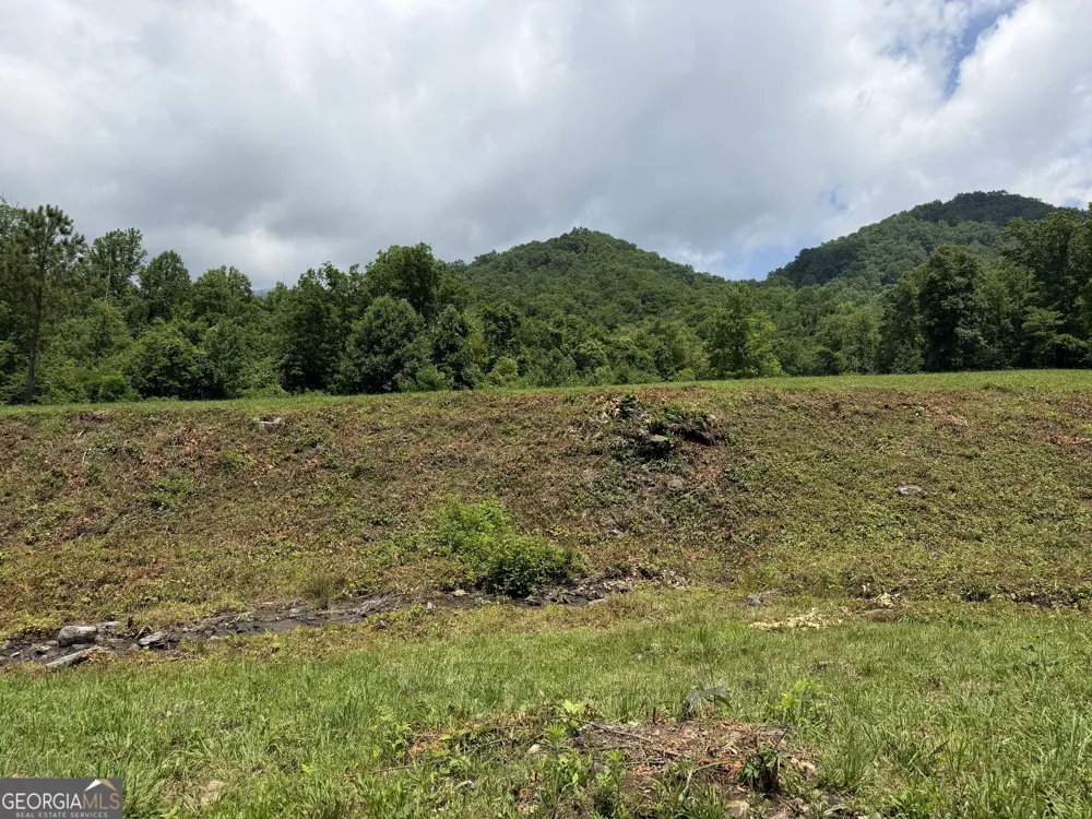 1449 Muskrat Creek RD Hayesville, NC 28904