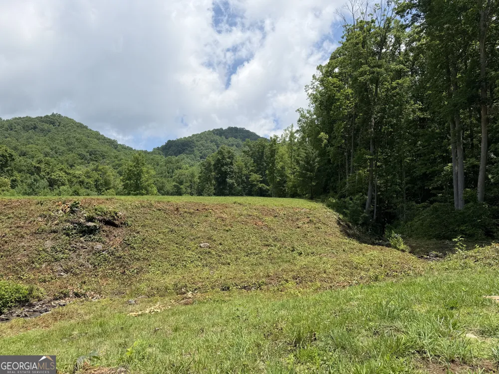 1449 Muskrat Creek RD Hayesville, NC 28904