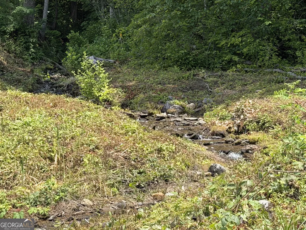 1449 Muskrat Creek RD Hayesville, NC 28904