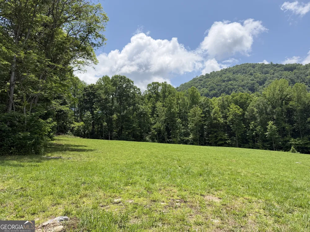 1449 Muskrat Creek RD Hayesville, NC 28904