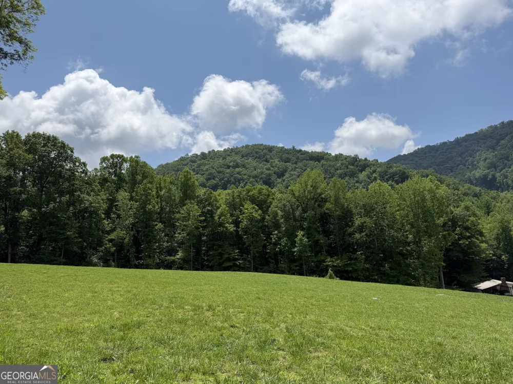 1449 Muskrat Creek RD Hayesville, NC 28904