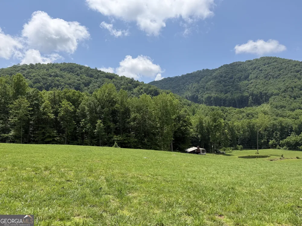 1449 Muskrat Creek RD Hayesville, NC 28904