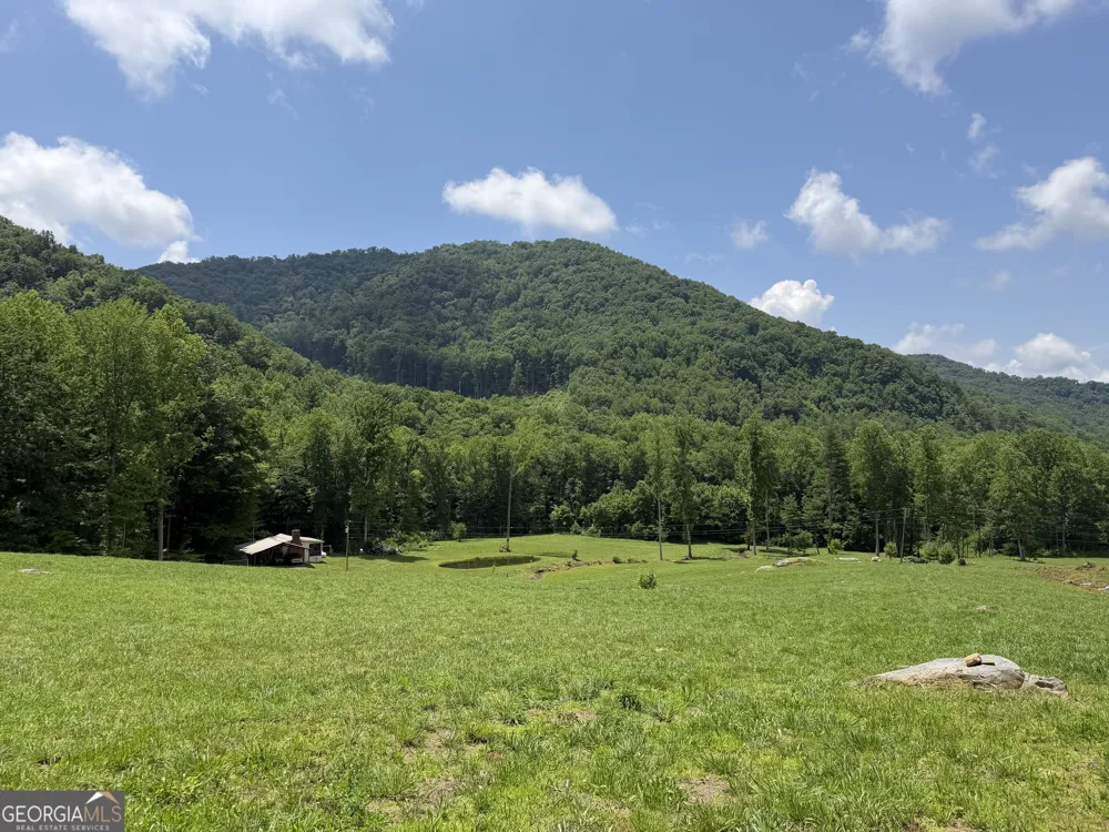 1449 Muskrat Creek RD Hayesville, NC 28904