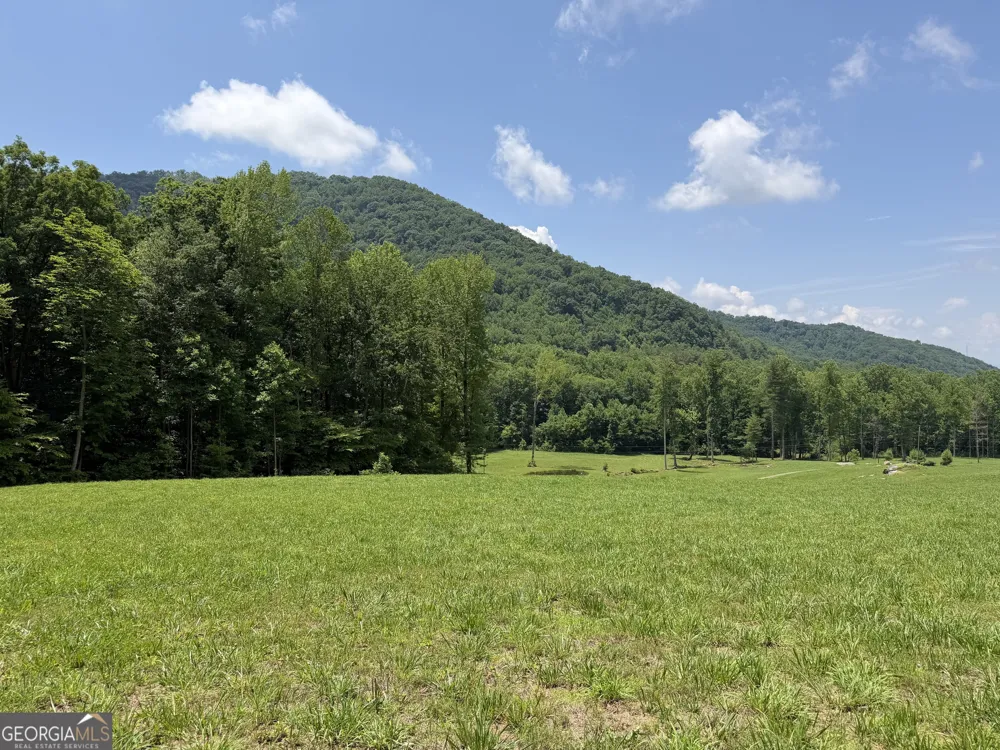 1449 Muskrat Creek RD Hayesville, NC 28904