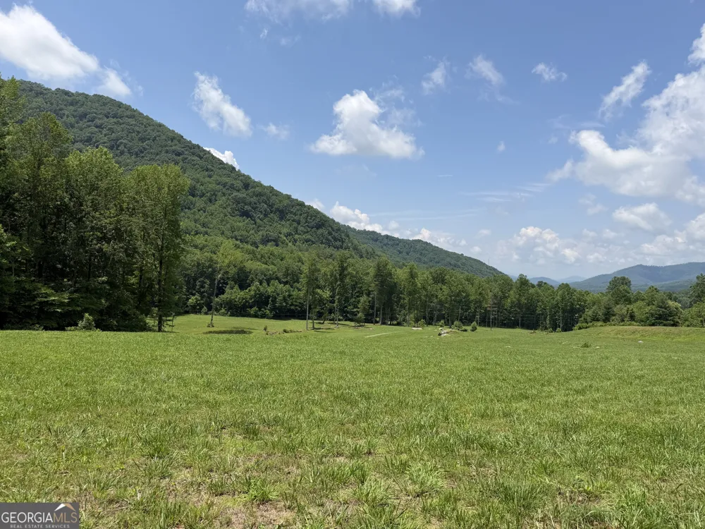1449 Muskrat Creek RD Hayesville, NC 28904