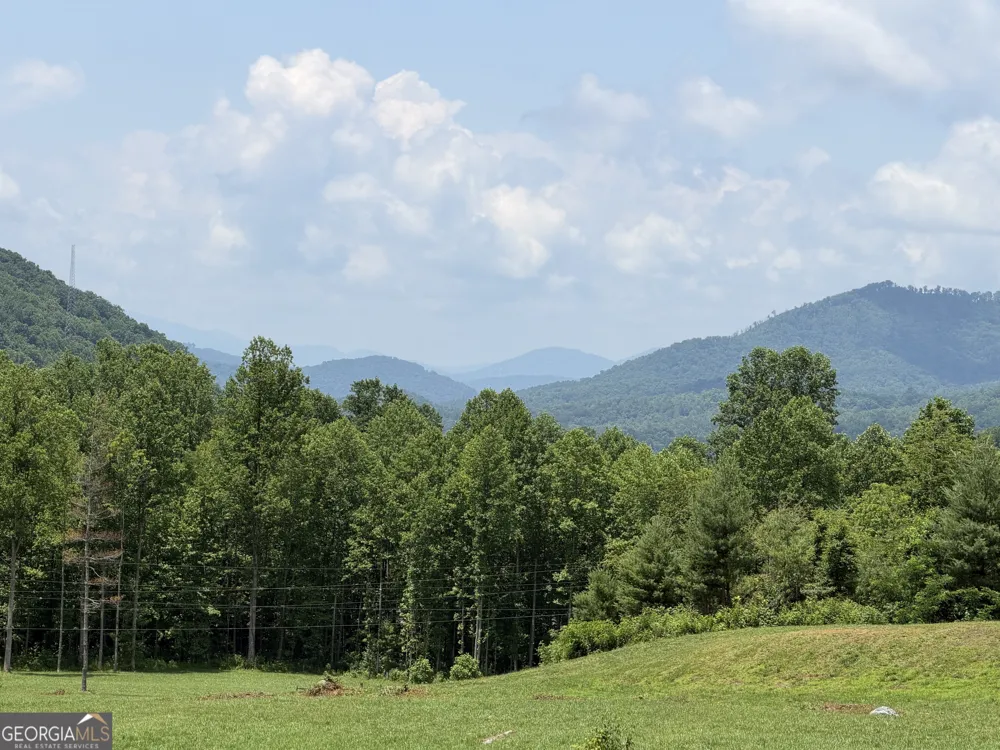 1449 Muskrat Creek RD Hayesville, NC 28904