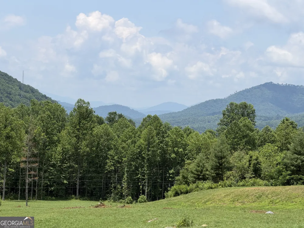 1449 Muskrat Creek RD Hayesville, NC 28904