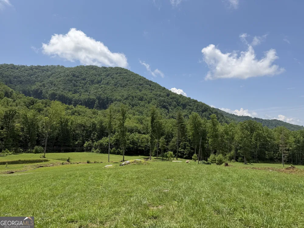 1449 Muskrat Creek RD Hayesville, NC 28904